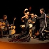 Flamenco